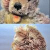 Vintage Steiff 9" Racker Zotty Hump Back Teddy Bear - Image 2