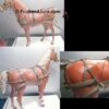 Best of the West Buckboard and Horse set with Instructions - Image 2