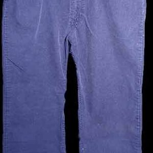 Levi's Blue Corduroys Pants