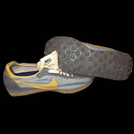 Nikes Light Blue Nylon with Waffle Bottoms