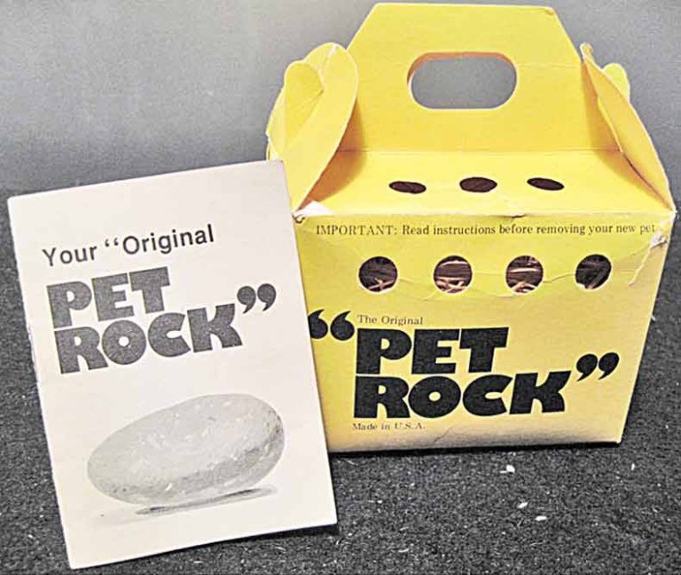 pet-rock-with-care-manual-in-box-funk-junk-collectibles