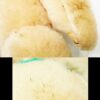 Philip Stahl Pelham Teddy Bears Pair - Image 5