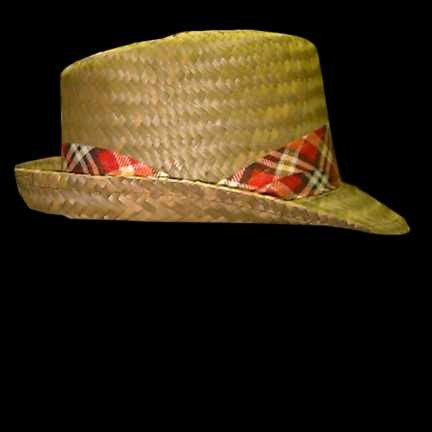 Mexican Straw Hat with Bright Plaid Band and Forehead Interior Patch